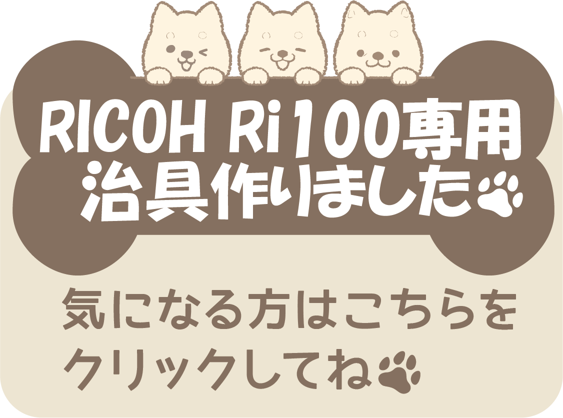 RICOH Ri100